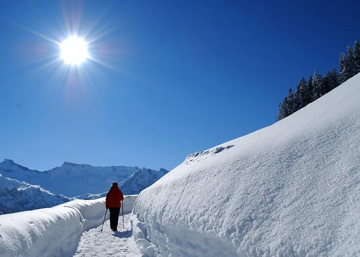 Bellevue Parkhotel & - Relais & Chateaux Hotell Adelboden