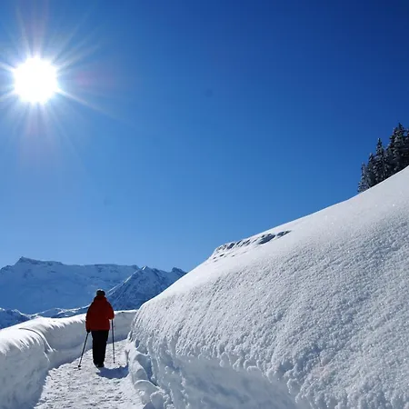 Bellevue Parkhotel & - Relais & Chateaux Hotel Adelboden